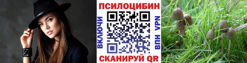 Галлюциногенные грибы GOLDEN TEACHER  Курильск 